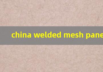  china welded mesh panel